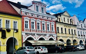 Hotel Sokolsky Dum